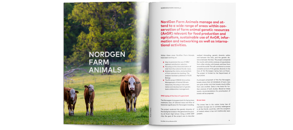 NordGen årsrapport og brug af store billeder